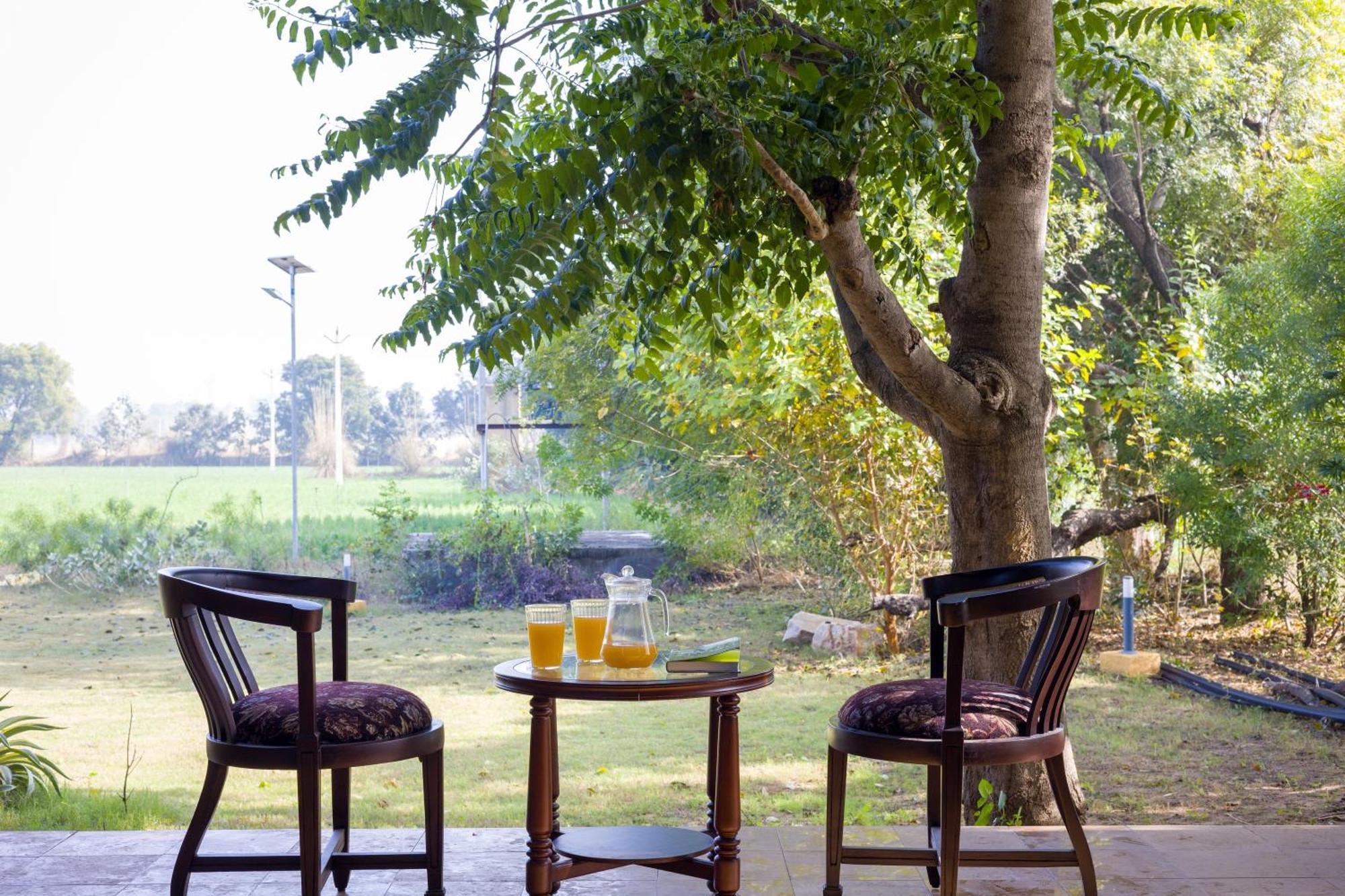 Elivaas Hari Bagh 4 Bhk Villa With Gaming Zone & Art Nook Jaipur Exterior foto